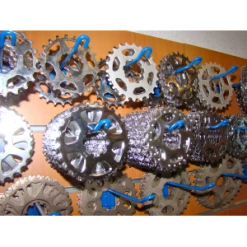 Lot Important De 1200 Pignons Miche Pour Shimano Et Campagnolo -Vélos Soldes Magasin lot important de 1200 pignons miche pour shimano et campagnolo 3