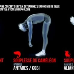 Selle Vélo Route Et VTT Fizik Arione Donna Manganèse Blanc Gris -Vélos Soldes Magasin spine concept fizik choisir sa selle velo 2